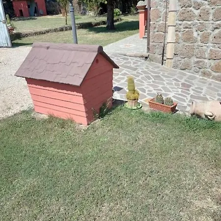 Campo Del Gatto Villa Viterbo Exterior photo