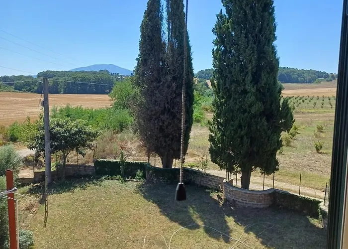 Campo Del Gatto