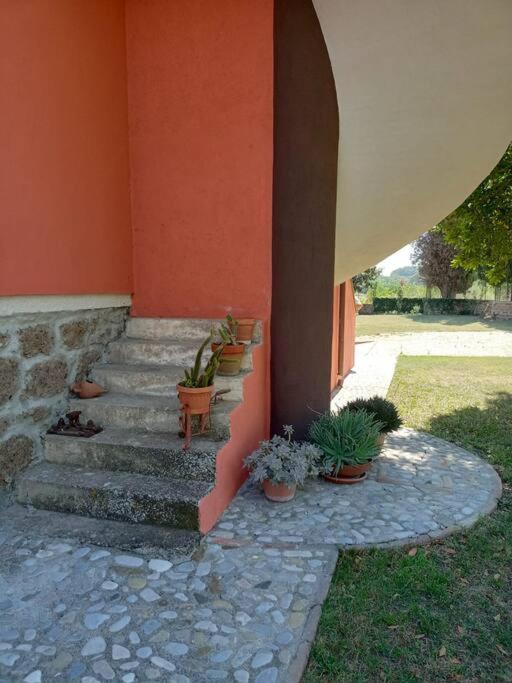 Campo Del Gatto