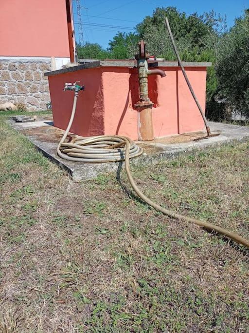 Campo Del Gatto *