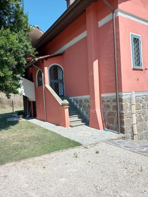 Campo Del Gatto