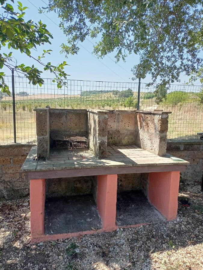 Campo Del Gatto